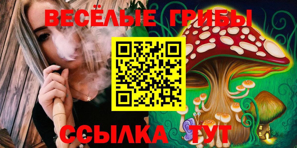 Псилоцибиновые грибы Cubensis  Вход с VPN  Домодедово 