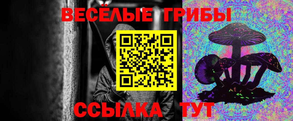 Псилоцибиновые грибы мицелий Домодедово